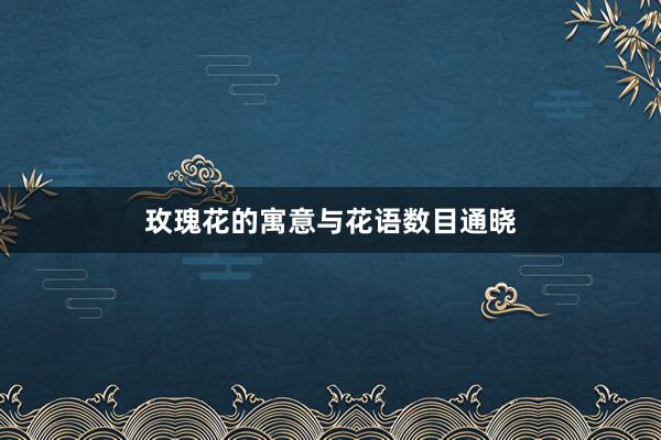 玫瑰花的寓意与花语数目通晓
